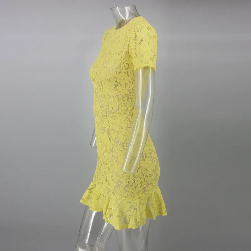 Women's Summer Sheath Backless Lace O-Neck Dress